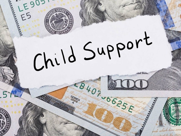 DC Child Support Calculator (Washington) | Guidelines – 2024