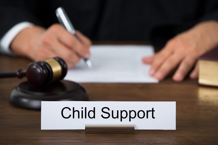 Nova Scotia Child Support Calculator | Guidelines – 2024